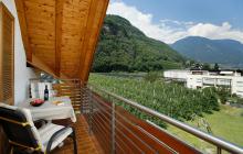 Doppelzimmer − Balkon mit Blick auf unsere Apfelwiesen