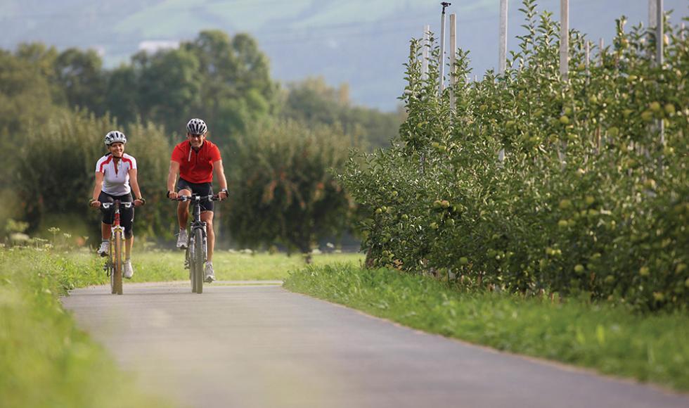 Ciclabile della Val d’Adige tra i frutteti