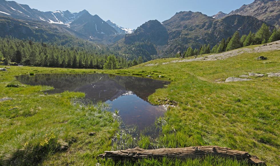 Wanderungen im urigen Ultental